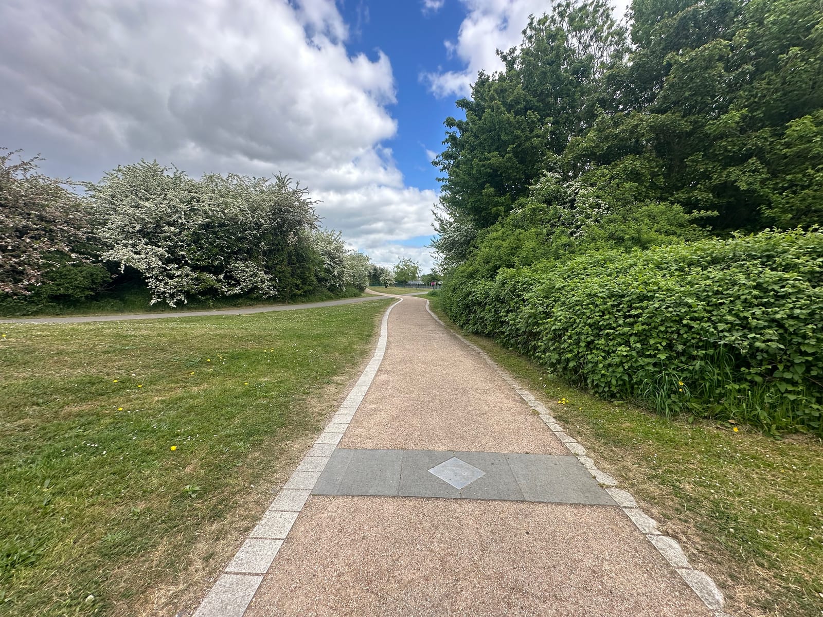 A surfaced path through Swanscombe Heritage Park between hawthorn in flower, with a marker set into the paving.